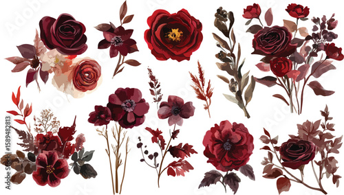 Elegant Watercolor Burgundy Floral Arrangement with Roses and Anemones on White