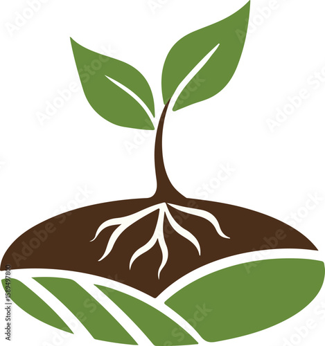 sprouting seed flat vector illustration logo icon clipart