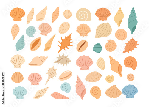 Set of various sea shells in different colors, sizes, and shapes. Coastal nature elements for ocean themed designs, summer decor, and beach-inspired creative projects. Vector flat illustration
