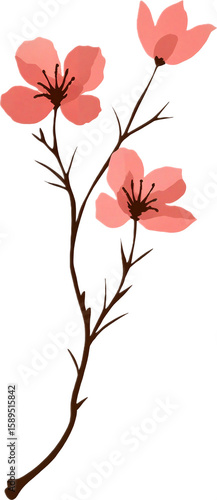 Elegant illustration of pink cherry blossoms on a tree branch with a red sun, evoking Japanese springtime and tranquility. Transparent background.
