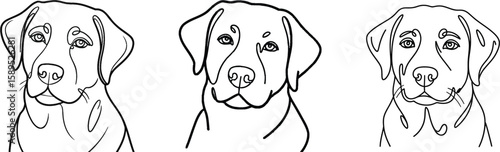 Set of three Labrador Retriever dog head portraits. Minimalist black and white line art drawing for logo, icon, or pet design.
