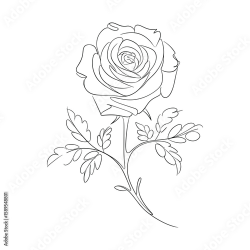Delicate single line drawing of a blooming rose with leaves flower petals
