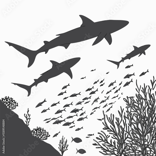 sharks in the sea