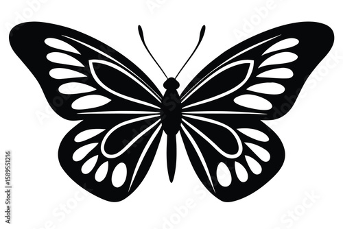 butterfly vector icon