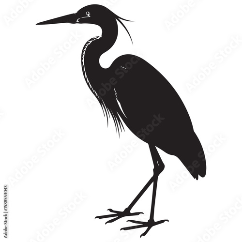 Elegant silhouette of a great blue heron standing still on its long legs against a white background