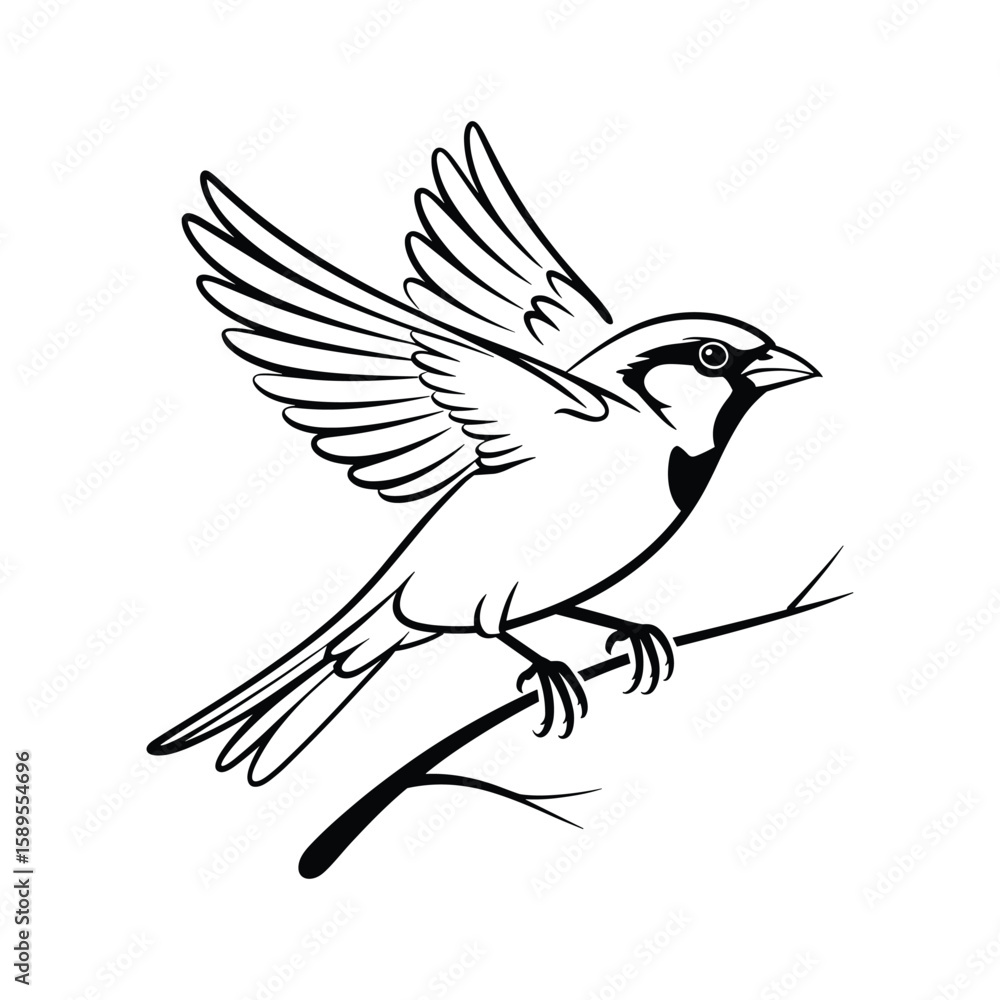 Naklejka premium Sparrow perched on a branch with wings spread bird