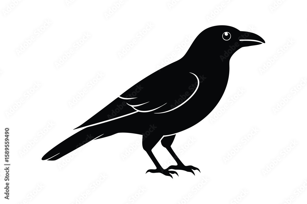Obraz premium crow vector icon