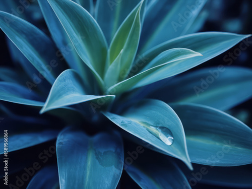 Wallpaper Mural Image Processing Complete Torontodigital.ca