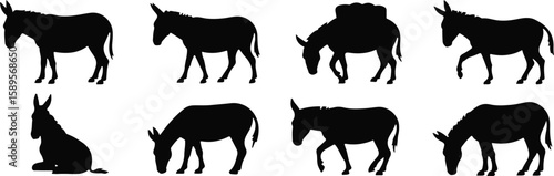 Black donkey silhouettes in various poses animal white set, bundle, vector, isolated on white background, cutout, png, clipping path, transparent, image, download, 2025,2026