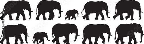 Black elephant silhouettes walking in a line elephants animal set, bundle, vector, isolated on white background, cutout, png, clipping path, transparent, image, download, 2025,2026