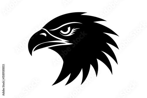 eagle head vector illustration