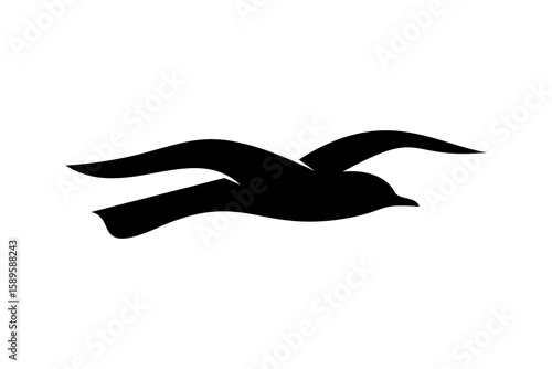 Photography flying bird silhouette vector illustration