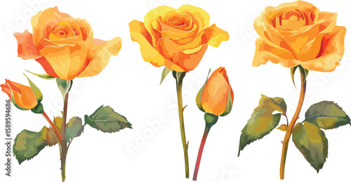 Image Processing Complete