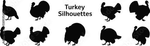 Various turkey silhouettes displayed against a white background bird fowl set, bundle, vector, isolated on white background, cutout, png, clipping path, transparent, image, download, 2025,2026,