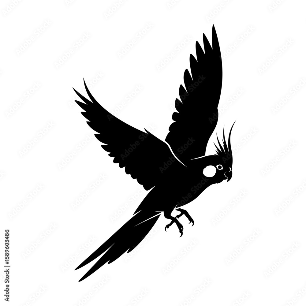 Fototapeta premium Vector art of black silhouette of a cockatiel in flight with wings spread