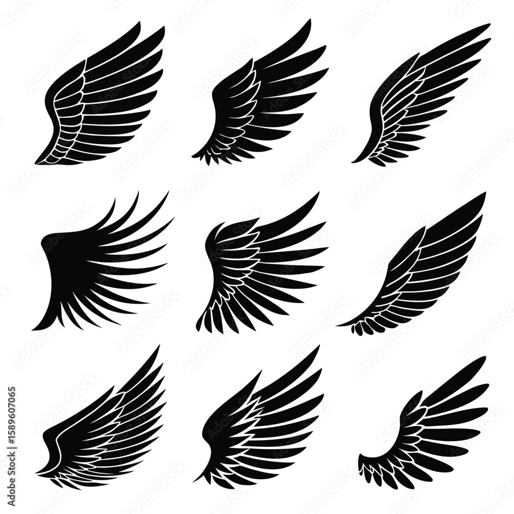 Obraz premium Twelve Black Wing Silhouettes Various Styles wings