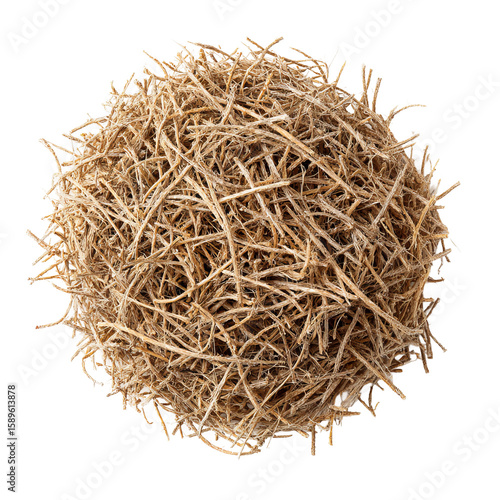 Tumbleweed: An isolated tumbleweed, a symbol of resilience and the open road, rests against a neutral backdrop, showcasing its intricate texture and organic form.