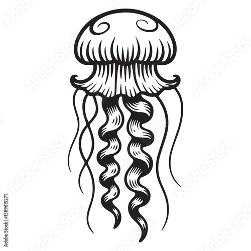 Vector art of a black and white drawing of a jellyfish with long, wavy tentacles