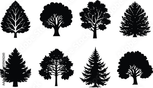 Silhouette Tree Collection Showing Deciduous and Coniferous Trees for Landscape Design