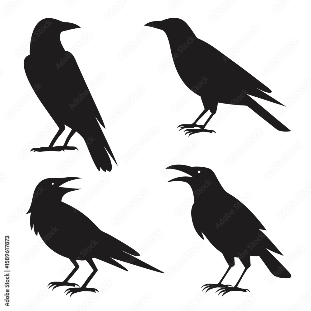 Fototapeta premium Four Black Crow Silhouettes Graphic Vector Illustration