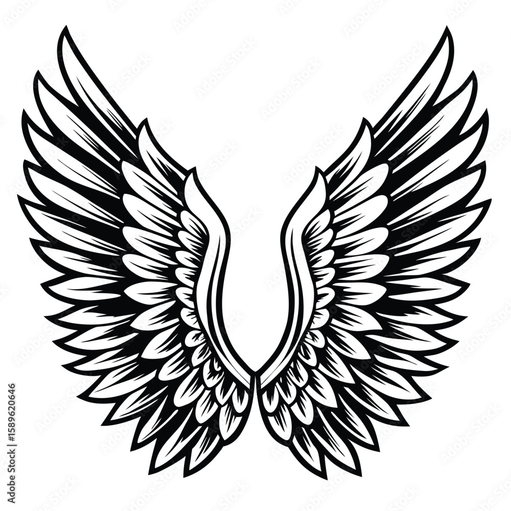 Fototapeta premium Stylized Black and White Angel Wings Illustration monochrome 1