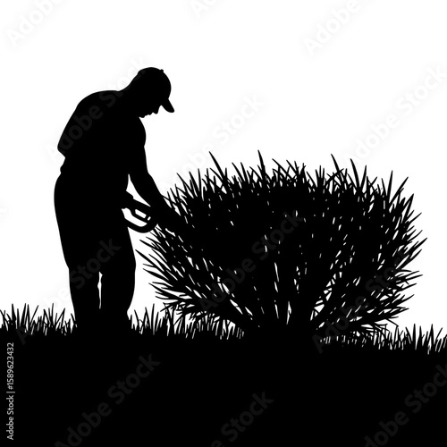 Gardener trimming bush silhouette in grass during daylight  