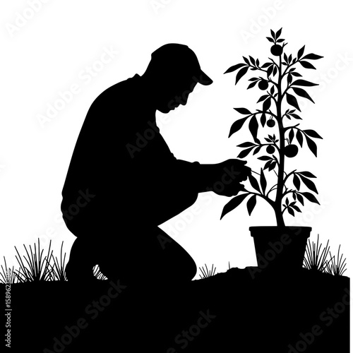 Man kneeling while tending to a potted plant in garden  