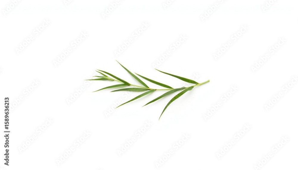Naklejka premium Green grass leaf isolated on white background 