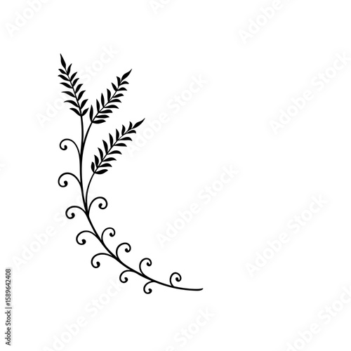 fern and vine corner borders for elegant programs 