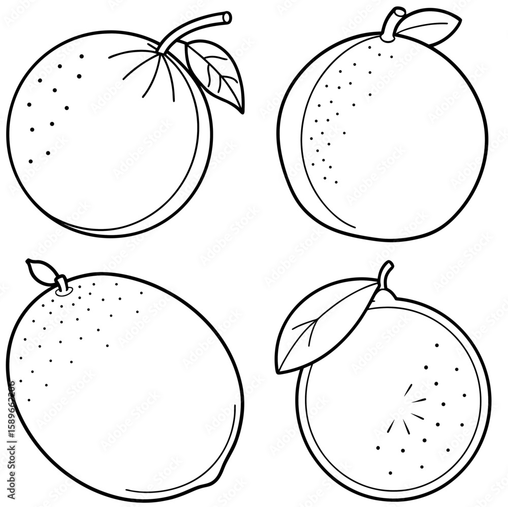 Obraz premium Lime Coloring Page – Fresh Citrus Fruit Line Art Illustration for Kids and Adults