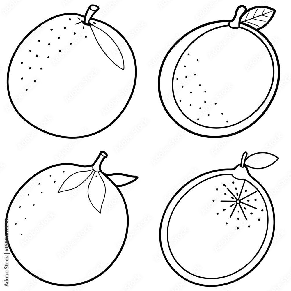 Fototapeta premium Lime Coloring Page – Fresh Citrus Fruit Line Art Illustration for Kids and Adults