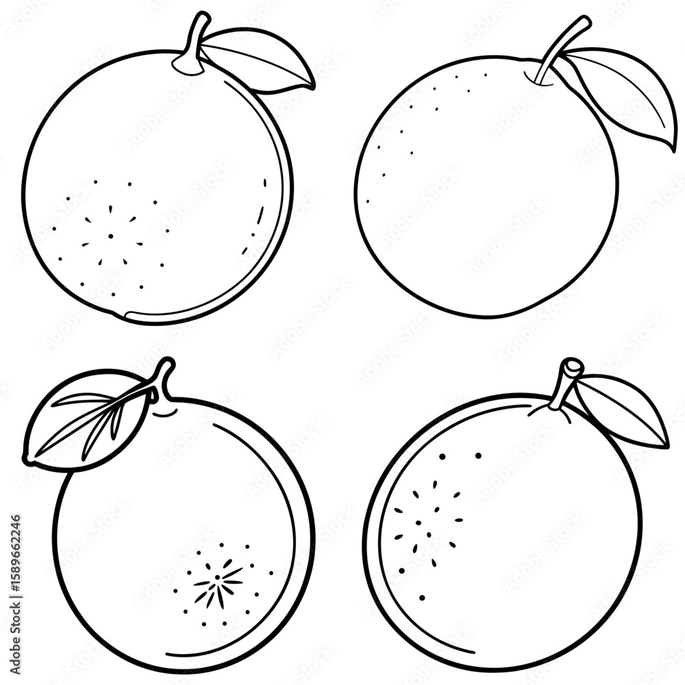Obraz premium Lime Coloring Page – Fresh Citrus Fruit Line Art Illustration for Kids and Adults