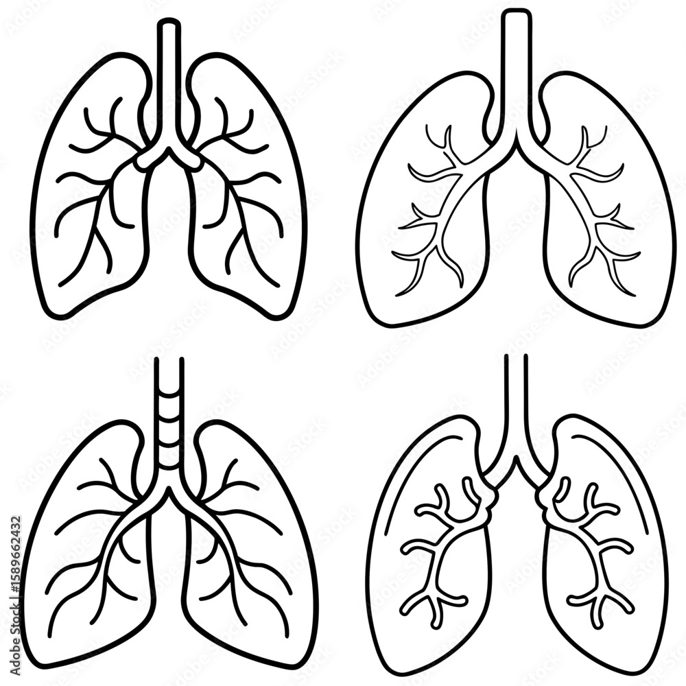 Fototapeta premium Lungs Coloring Page – Human Respiratory System Line Art Illustration for Kids and Adults