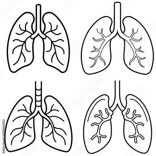 Lungs Coloring Page – Human Respiratory System Line Art Illustration for Kids and Adults