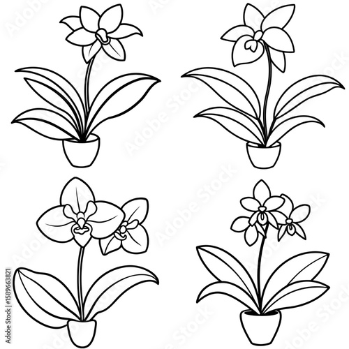 Orchid Plant Coloring Page – Exotic Flower Line Art Illustration for Kids and Adults