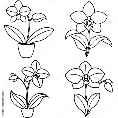 Orchid Plant Coloring Page – Exotic Flower Line Art Illustration for Kids and Adults