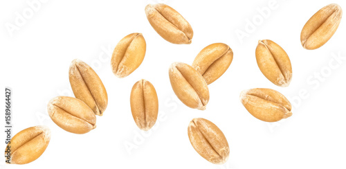 Konstfotografi Wheat seeds isolated on white background, falling wheat grains collection, macro