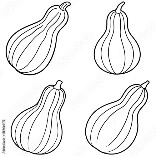 Squash Coloring Page – Fresh Vegetable Line Art Illustration for Kids and Adults