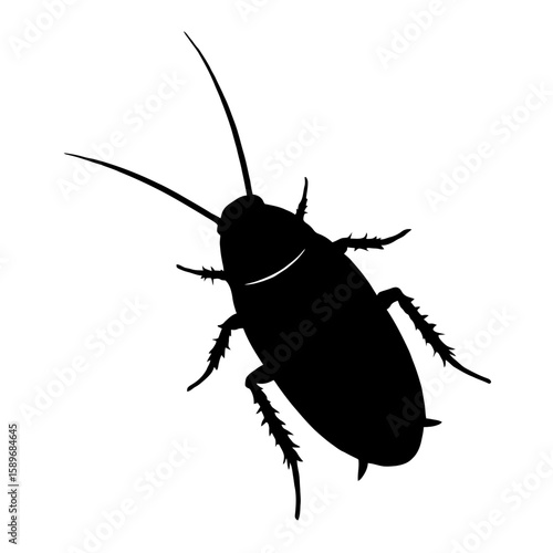 Design a black silhouette of a Dubia Cockroach white background clean vector shape