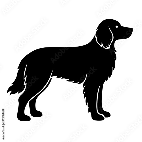 Design a black silhouette of a Epagneul Pont Audemer white background clean vector shape