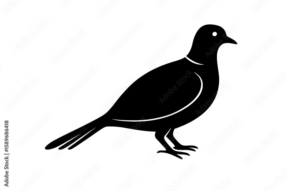 Fototapeta premium Design a black silhouette of a Eurasian Collared Dove white background clean vector shape