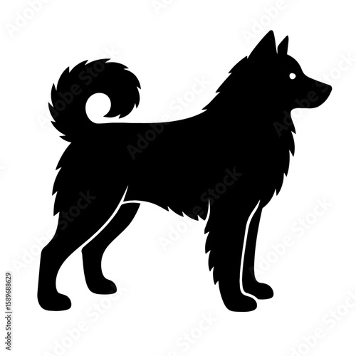 Design a black silhouette of a Eskimo Dog white background clean vector shape