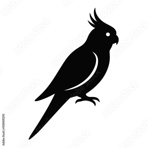 Design a black silhouette of a Cockatiel white background clean vector shape
