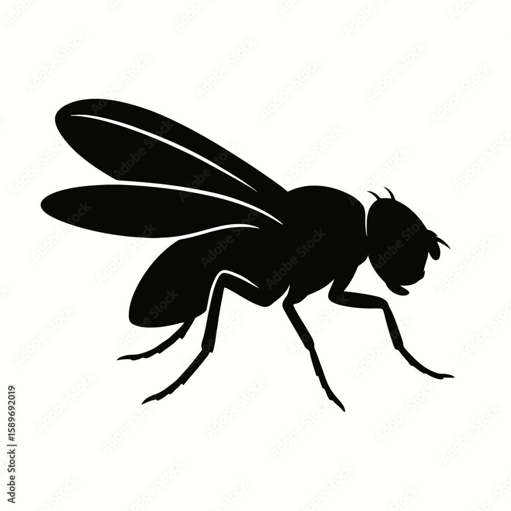 custom made wallpaper toronto digitalDesign a black silhouette of a Fruit Fly white background clean vector shape