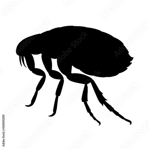 Design a black silhouette of a Flea white background clean vector shape