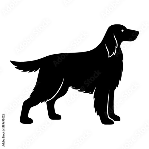 Design a black silhouette of a Gordon Setter white background clean vector shape