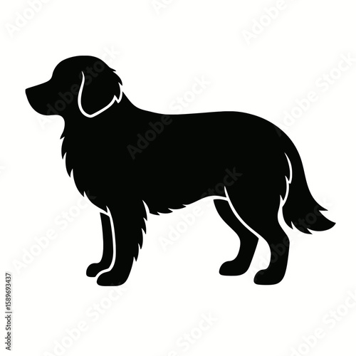 Design a black silhouette of a Comfort Retriever white background clean vector shape