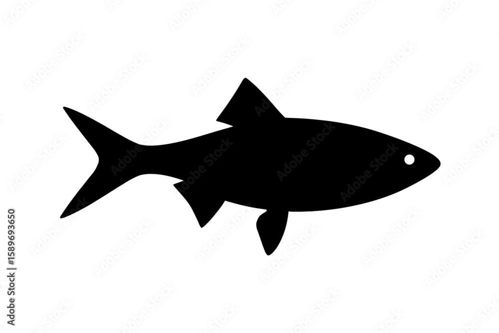 Fototapeta premium Design a black silhouette of a Golden Shiner white background clean vector shape