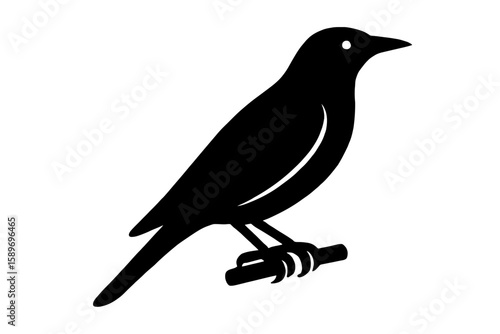 Design a black silhouette of a Golden Oriole white background clean vector shape