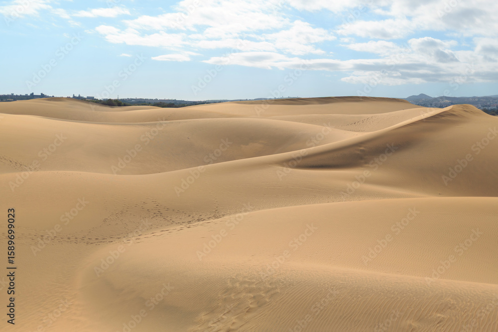 Soft sand dunes stretch across the landscape, bathed in sunlight, creating a serene and tranquil atmosphere in the desert. Soft sand dunes stretch across the landscape, bathed in sunlight, creating a serene and tranquil atmosphere in the desert.